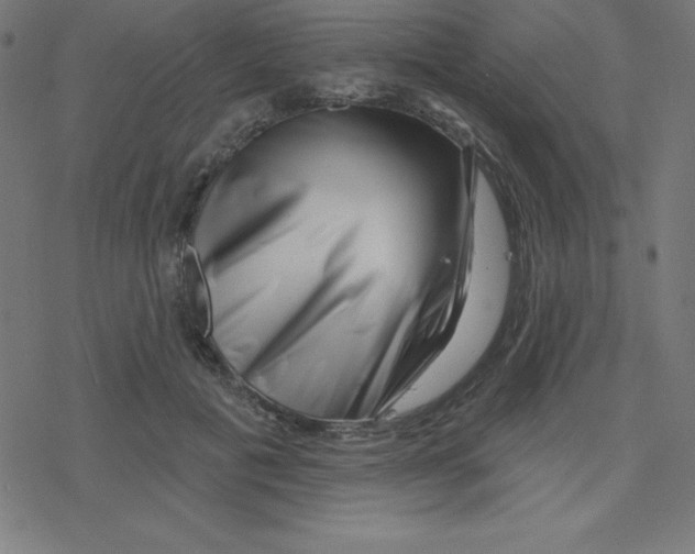 X0000078250601200612011631