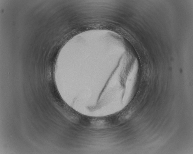 X0000078250602200612011631