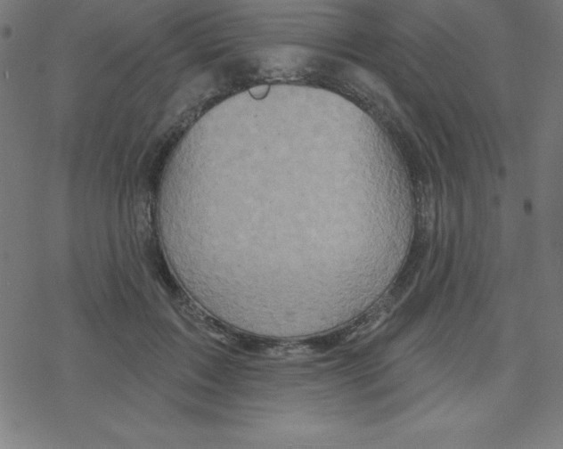 X0000078250603200612011631