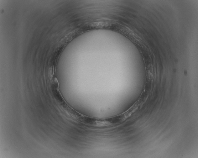X0000078250605200612011631