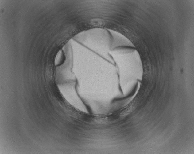 X0000078250606200612011631