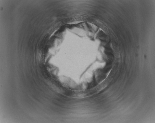 X0000078250610200612011631