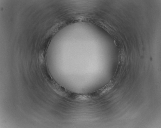 X0000078250611200612011631