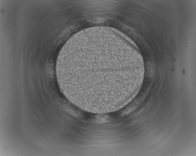 X0000078250612200612011631