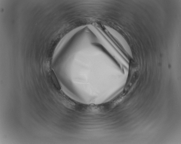X0000078250613200612011631
