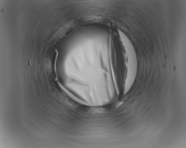 X0000078250617200612011631