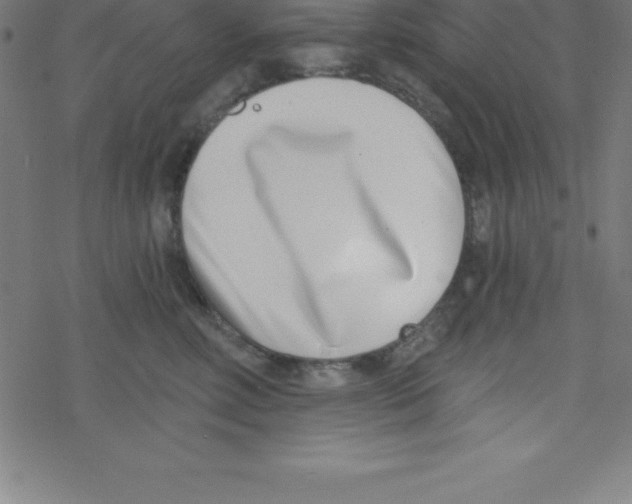 X0000078250618200612011631