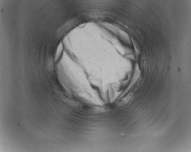 X0000078250623200612011631