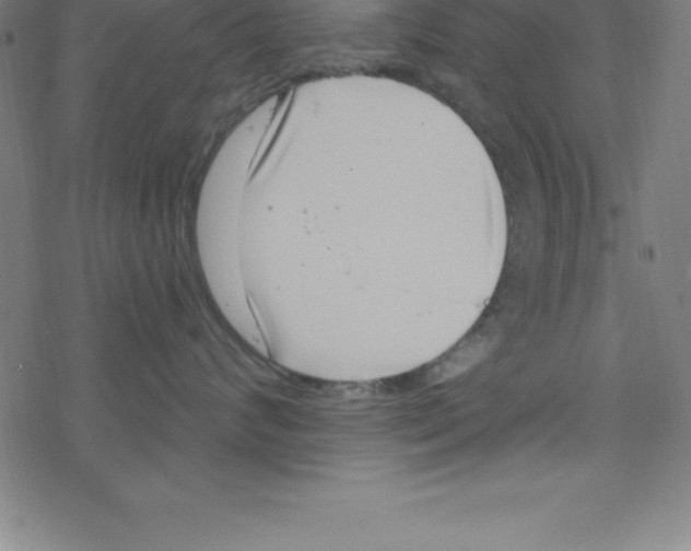 X0000078250624200612011631