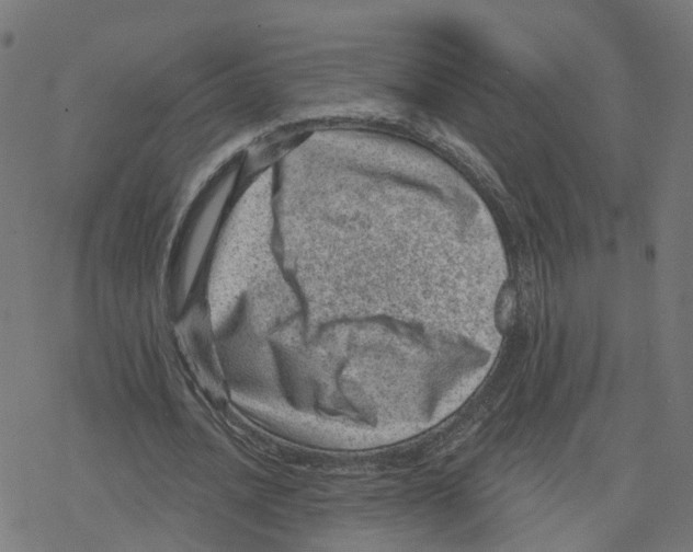 X0000078250628200612011630