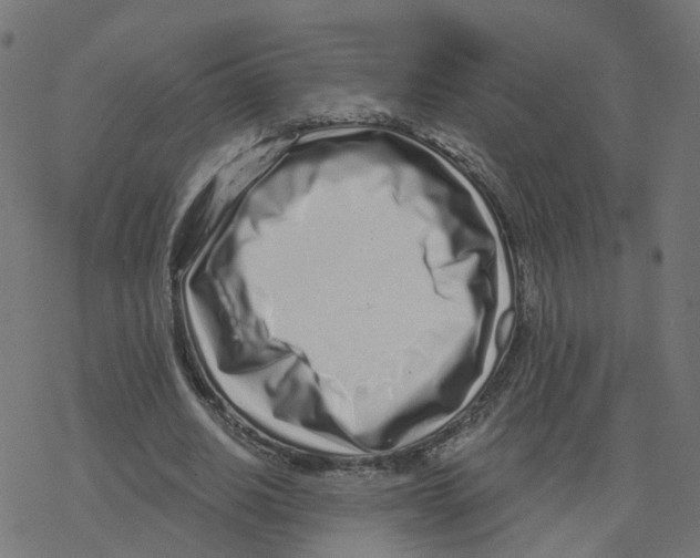 X0000078250630200612011630