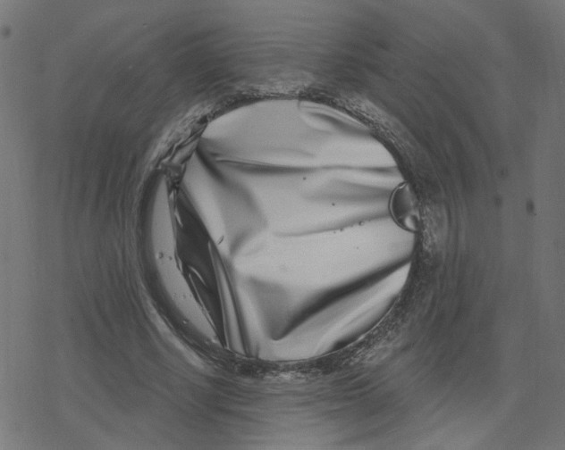 X0000078250634200612011630