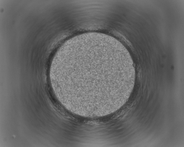 X0000078250635200612011630