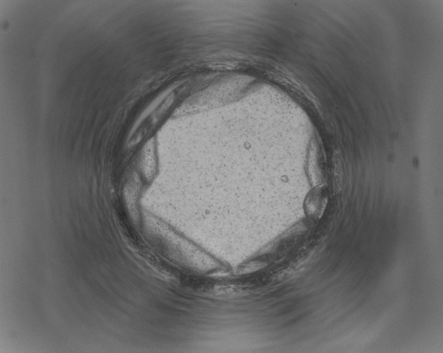 X0000078250641200612011630