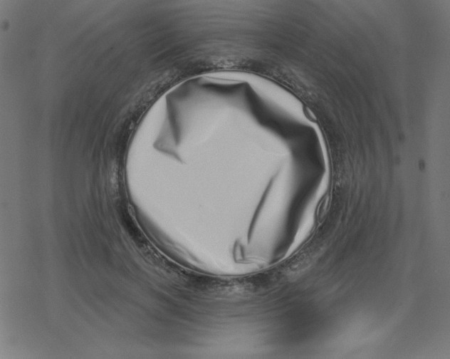 X0000078250646200612011630