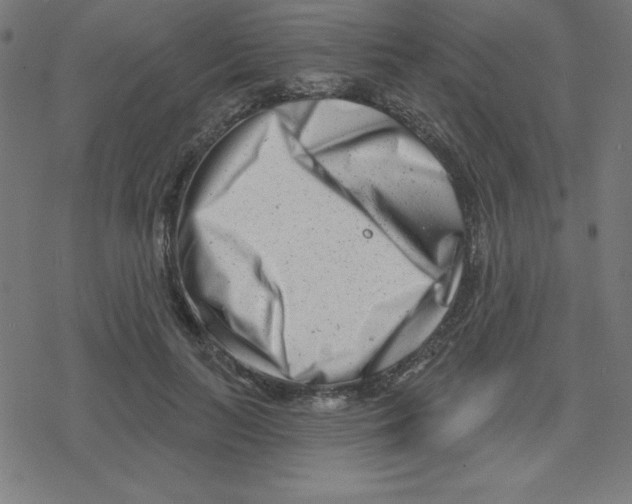 X0000078250647200612011631