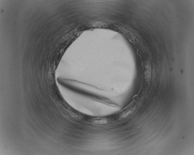 X0000078250653200612011631