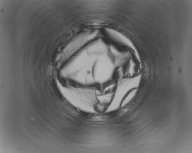 X0000078250657200612011631
