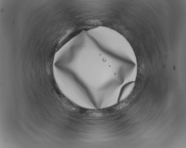 X0000078250658200612011631