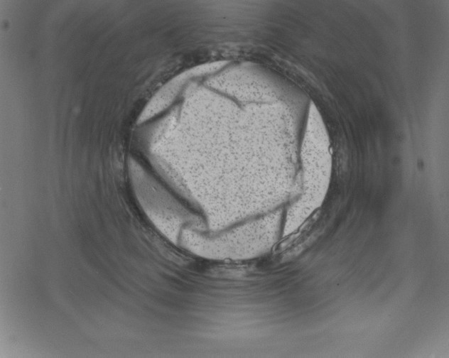 X0000078250661200612011631