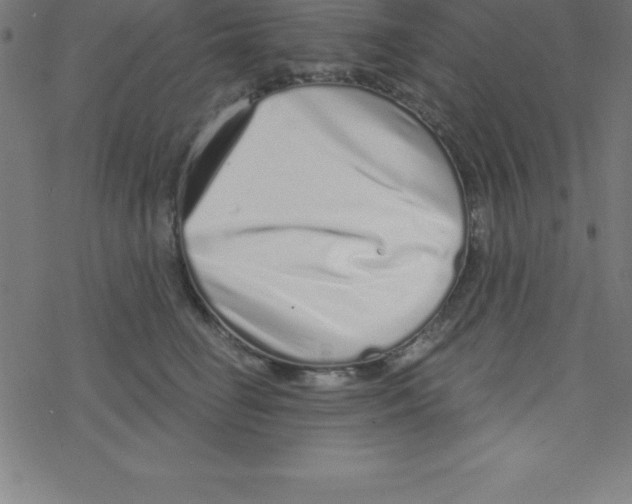 X0000078250662200612011631