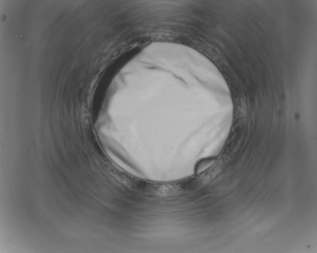 X0000078250663200612011631