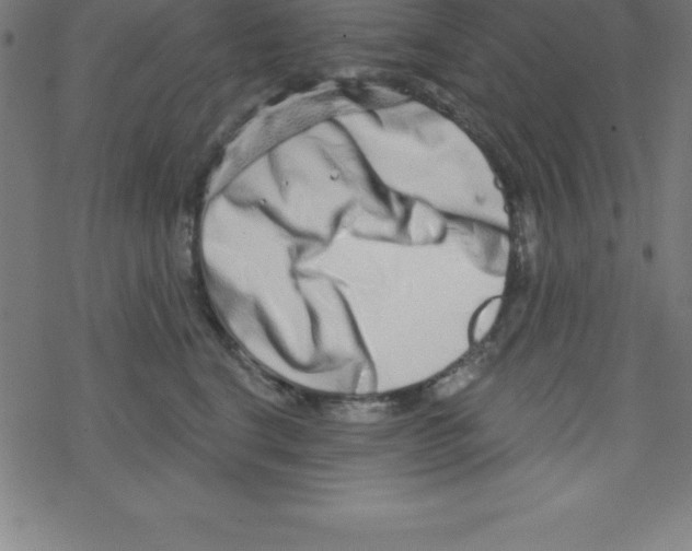 X0000078250664200612011631