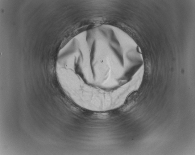 X0000078250665200612011631