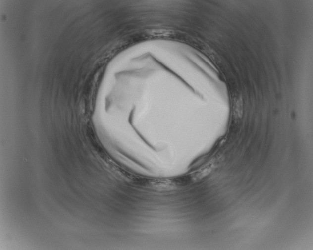X0000078250666200612011631