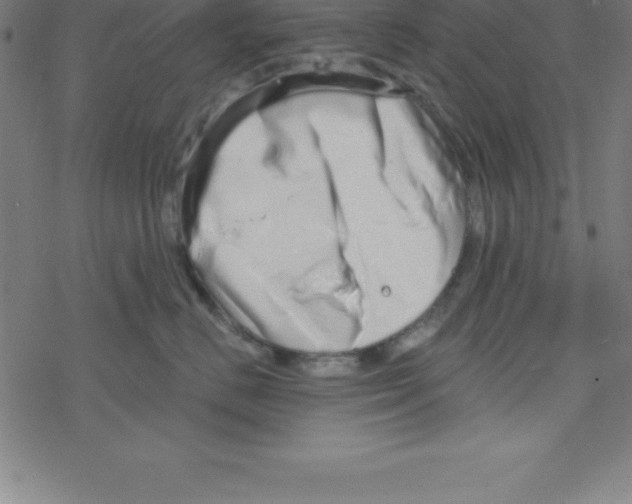 X0000078250670200612011631