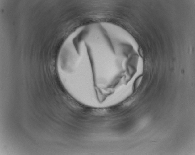 X0000078250671200612011631