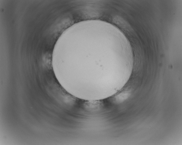X0000078250672200612011631