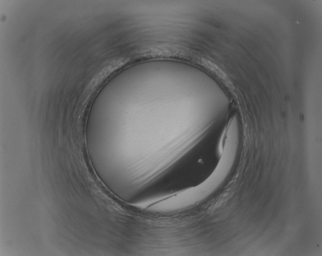 X0000078250673200612011630