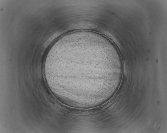 X0000078250675200612011630
