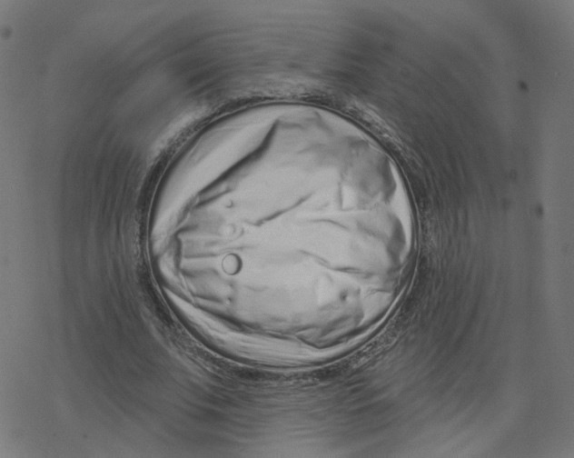 X0000078250679200612011630