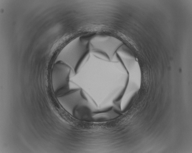 X0000078250682200612011630