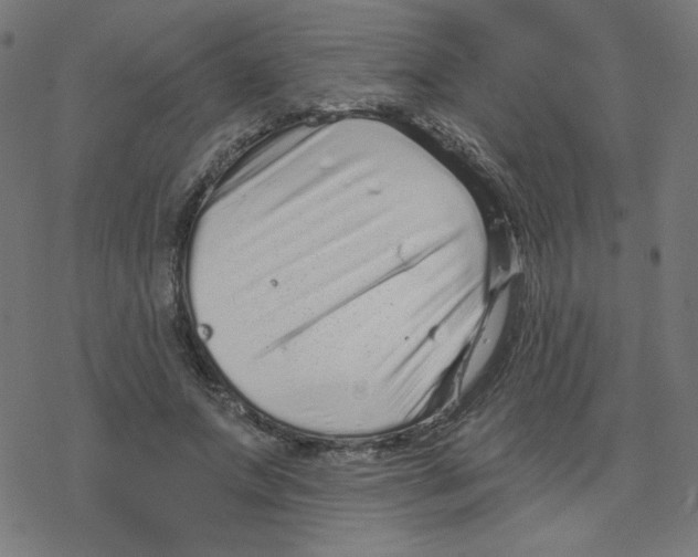 X0000078250687200612011630