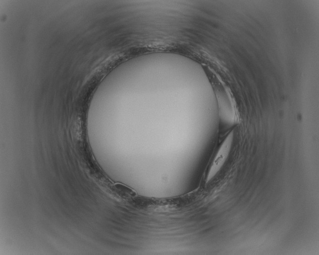 X0000078250689200612011630