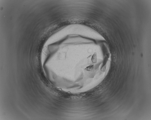 X0000078250690200612011630