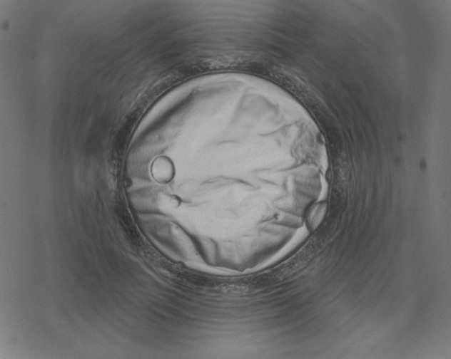 X0000078250691200612011630
