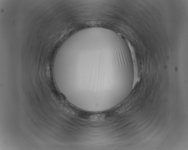 X0000078250700200612011630