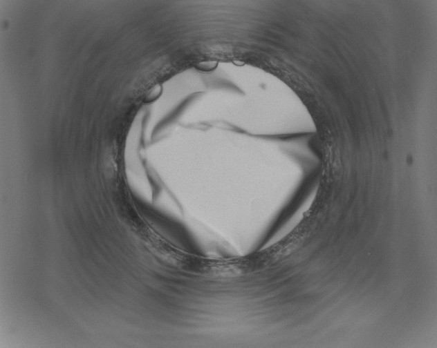 X0000078250702200612011630