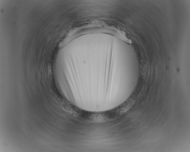 X0000078250704200612011630
