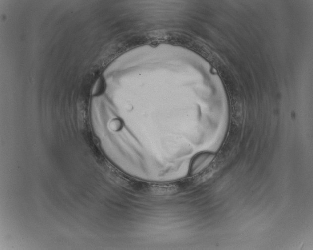 X0000078250707200612011630