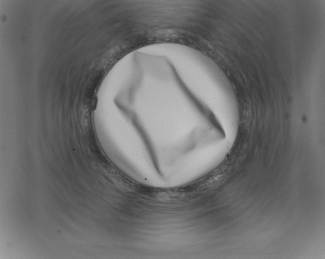 X0000078250708200612011630