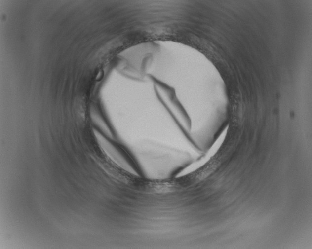 X0000078250710200612011630
