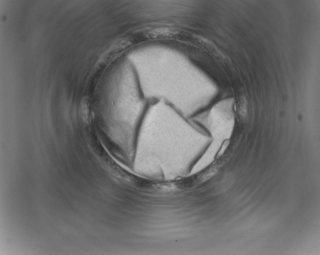 X0000078250715200612011629