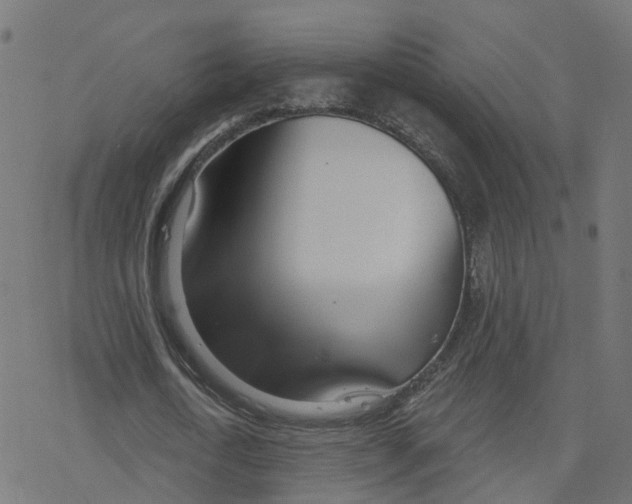 X0000078250722200612011629