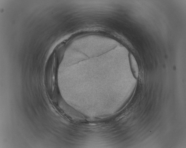 X0000078250724200612011629