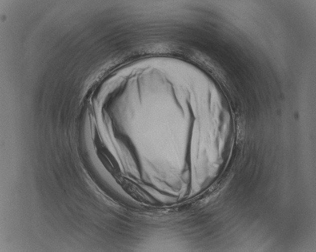X0000078250725200612011629